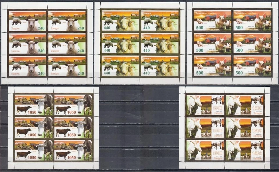 Bielorrusia 2007 animales de granja ganado doméstico cabra carnero oveja cerdo vaca perro caballo fauna Foto 1 de 1