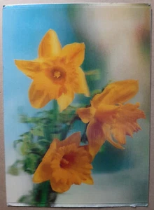 Vintage 3D Lenticular Postcard Daffodil Flower, CZECHOSLOVAKIA, PRAHA - Picture 1 of 2