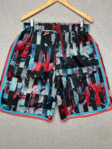 Nike Board Shorts Mens L Blue Red Swimming Trunks Mesh Liner Pockets Retro - Picture 1 of 12