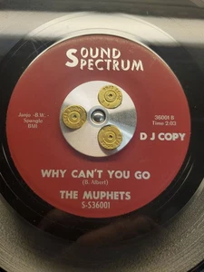 VG+ Garage 45 MUPHETS on SOUND SPECTRUM Ohio DJ - Picture 1 of 2