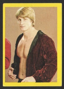 Kevin Von Erich Card No. 110 from Von Erich Wrestling CARD ALBUM 1985 ISRAEL - Picture 1 of 2