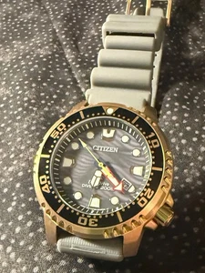 Reloj Citizen Eco-Drive BN0163-00H Promaster Buceo Tono Oro Rosa Esfera Gris - Imagen 1 de 5