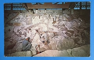 Postcard Reliefing Fossil Dinosaur Bone Northeast Utah CAMDRASAURUS - Picture 1 of 2