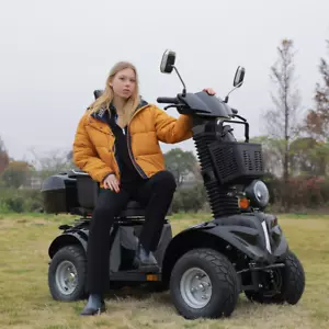 Heavy Duty 4-Wheel Mobility Scooters 25 Mile 3-Speed 1000W 500lb Capacity Black - Picture 1 of 13