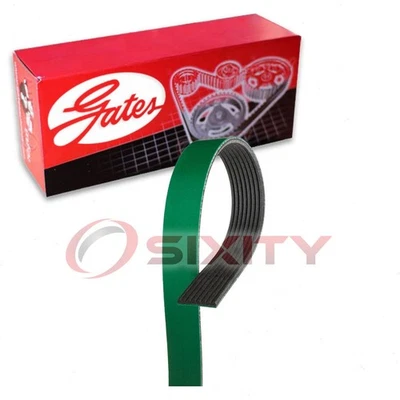 Cinturón serpentino Gates FleetRunner Micro-V para Ford E-350 Econoline xi 1995-1997 Foto 1 de 4