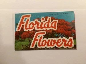 Folleto de fotos de recuerdo de Fort Lauderdale, Florida 4”x 6” con 12 fotos/de colección - Imagen 1 de 9