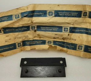 Soporte de matrícula frontal genuino GM OEM 10017999 82-84 Firebird - Imagen 1 de 5