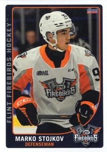2022/23 Flint Firebirds - MARKO STOJKOV - Picture 1 of 2