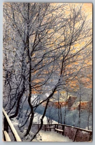 Undivided Back Postcard Snowy Winter Scene - Picture 1 of 2