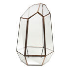 Modern Glass Geometric Tabletop Terrarium Box Decor Planter