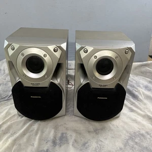 Par de altavoces Panasonic SB-AK18 - Imagen 1 de 5