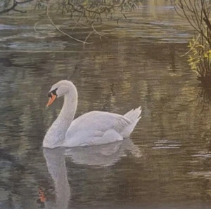Sylvan Stream - Stummer Schwan - limitierte Auflage signierter Druck - Robert Bateman im Ordner  - Bild 1 von 7
