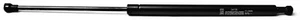 Z455580 Gasfedern SET kompatibel mit HONDA Civic VII (EJ,EK) - Bild 1 von 1