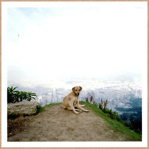 SIGNED - ALEC SOTH - DOG DAYS BOGOTA COVER IMAGE - COLOMBIA 6 x 6" MAGNUM PRINT - Picture 1 of 2