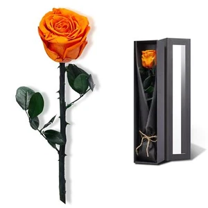 Valentines Day Gifts for HerValentines Rose Flowers Birthday Gifts for WomenV... - Picture 1 of 6