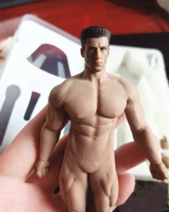 1/12 TBLeague PHICEN TM02A 16.3cm Male Seamless Body W/ Head Figure Doll Model - Picture 1 of 11