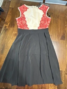 Little Mistress London Knee Length Dress Orange Lace Accents US Size 4 NWT - Picture 1 of 6