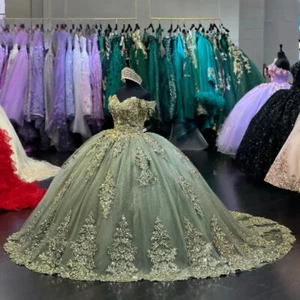 Sage Green Quinceanera Dresses Ball Gowns Beading Appliques Sweet 15 16 Dress - Picture 1 of 11