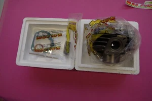 Malossi Zylinder  Honda SH50 Peugeot  316170 Roller 70ccm - Bild 1 von 2