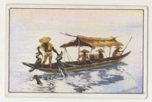 FISCHFANG KORMORANEN CORMORANT PÊCHE CORMORAN JAGD FANG IMAGE CARD 1930's - Picture 1 of 2
