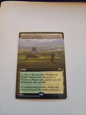 MTG Windswept Heath (Nuevo) - (Sin fronteras, regular) MH3 Foto 1 de 2