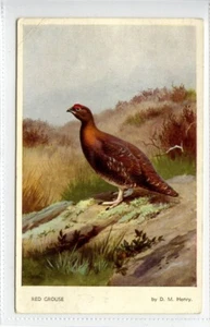 (KLj3073) Bird Series, Red Grouse, c1930 - Picture 1 of 2