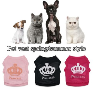 kitten clothing uk