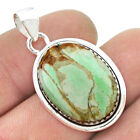 Hand Carved 14.62cts Natural Green Variscite 925 Silver Pendant Jewelry U45589