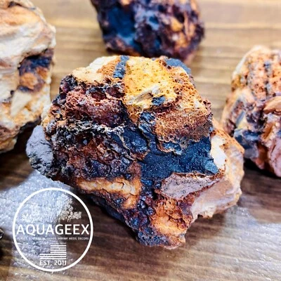 AQUAGEEX 4 LB TIMBER AQUARIUM BONSAI NANO TANK DECORATIVE ROCKS - LAVA ROCK WOOD