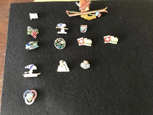 Bunte Anstecker 13 St. aus verschiedenen Ski Gebieten - Bild 1 von 7