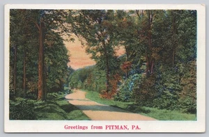 White Border Postcard Greetings from Pitman Pennsylvania Country Road - Picture 1 of 2