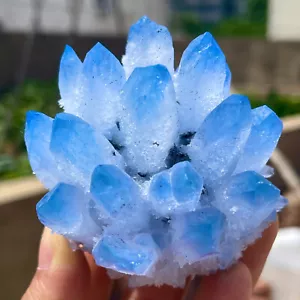 284G New Find Blue Phantom Quartz Crystal Cluster Mineral Specimen - Imagen 1 de 10