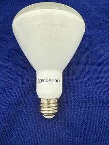 ECOSmart BR30 LED lamp bulb 120V, 5W 5000K 3 pack - Picture 1 of 8