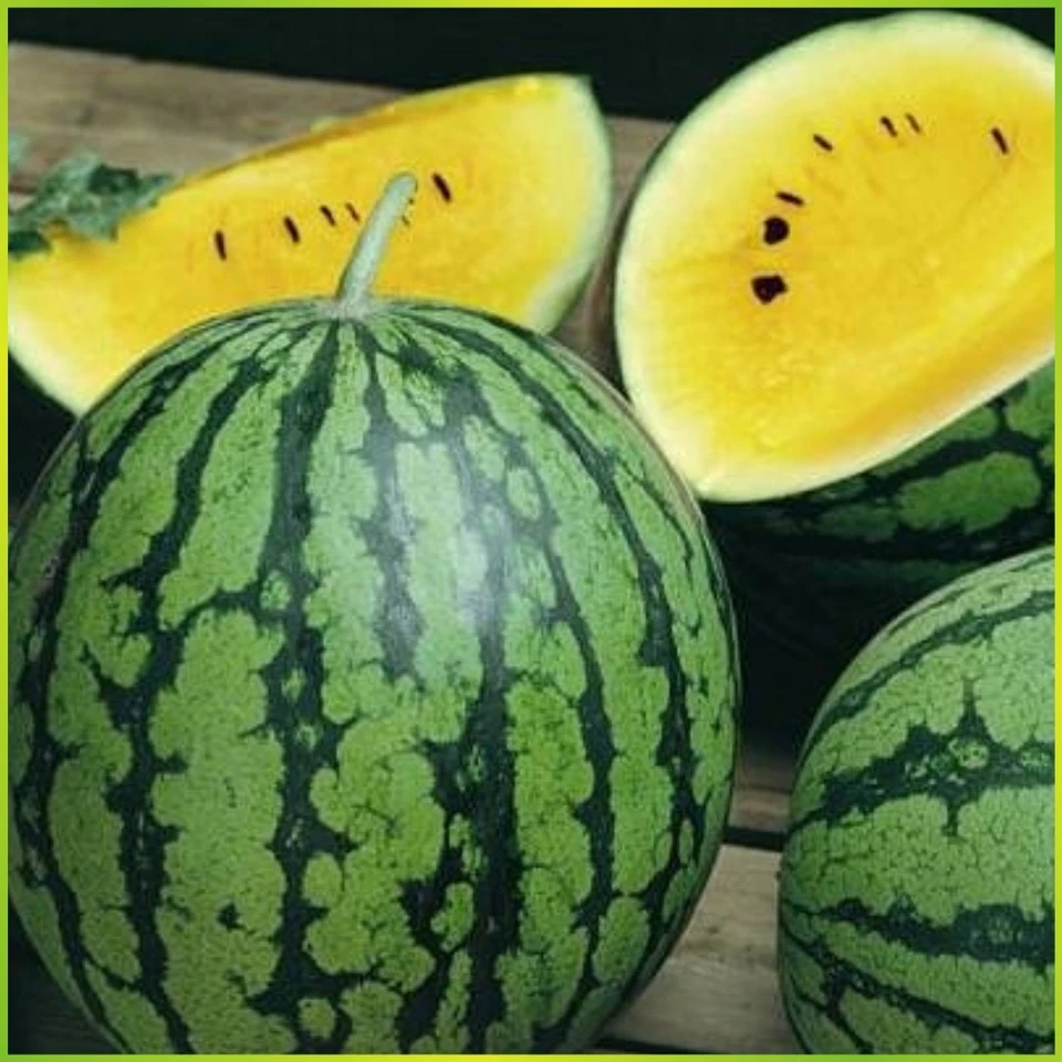 Wassermelone Ananas Comosus  Erfrischend Wassermelone Samen Melonen Samen Melone - Bild 1 von 1