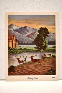 Vintage Lithograph Print Depicting Thirsty Deer At Bank Of River In Jungle Old - Picture 1 of 3