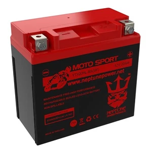 Neptune YTX20L-BS / YTX20HL-BS High Performance MF Sealed AGM Motorcycle Battery - Picture 1 of 11