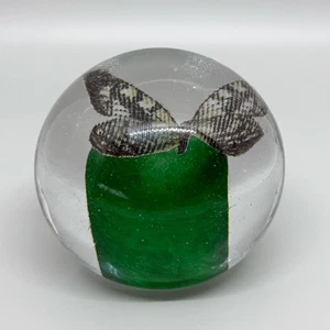 Briefbeschwerer Paperweight Glas - Kugel Schmetterling Vintage - Bild 1 von 6