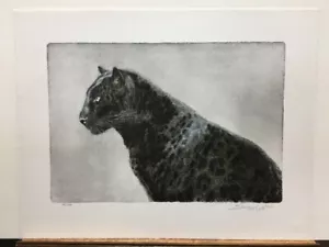 John Seerey-Lester Regal Majesty Leopardo Firmata e Numerata Stampa Arte Faunistica - Foto 1 di 1