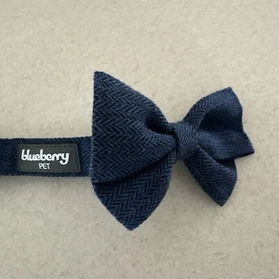 Nuevo collar Blueberry Pet talla mediana tabla en fotos Foto 1 de 4