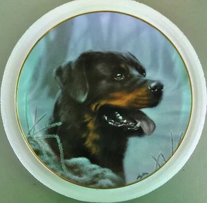 "Frosty Morning" Danbury mint ROTTWEILERS Plate Series- Never Displayed - Picture 1 of 2