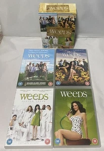 Weeds Seasons 1-4 DVD Boxset - Region 2 - Picture 1 of 7