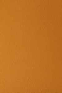 Golden Yellow Quality Camera Replacement Leather self-adhesive - Picture 1 of 2