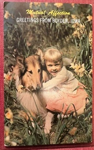 Greetings from Boyden Iowa "Mutual Affection" Postcard  - Picture 1 of 2