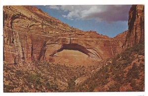 THE GREAT ARCH Switchback Rd Zion National Park Utah Rock Form Postcard UT 1963 - Picture 1 of 2