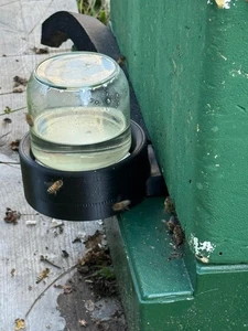 Bienen-Futterspender, Kunststoff ABS 3D-Druck keine Zarge nötig - Bild 1 von 12