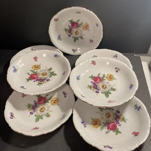 7 pezzi Mitterteich Meissen floreale Baviera Germania 8" zuppiera coupé ciotole ottime condizioni - Foto 1 di 10
