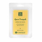 Aromatique Agave Pineapple Wax Melts Cubes 2.7 oz 77g