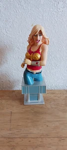 WONDER GIRL BUST (MISSING THE LASSO) DC COMICS BRAND NEW DEFECT OPENED BOX - Picture 1 of 7