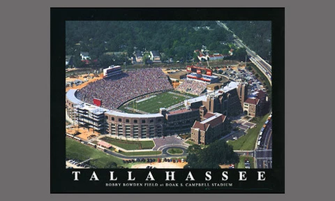 Florida State Seminoles Football DOAK CAMPBELL STADIUM Aerial View POSTER Print Cover