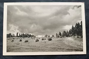 Czechoslovakia 1952 - used picture postcard to Kladno - Bild 1 von 2